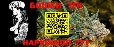 герыч Новодвинск