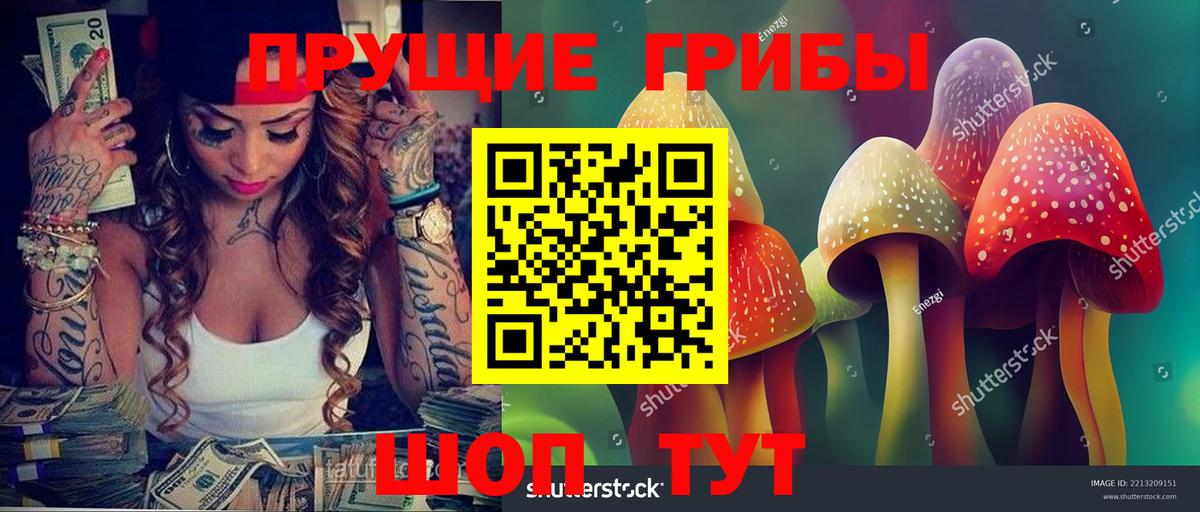 Галлюциногенные грибы Magic Shrooms Сунжа