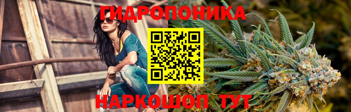 Конопля ГИДРОПОН Сунжа