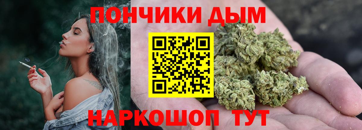 Бошки Шишки марихуана  Каннабис планчик  Бошки марихуана семена  Сунжа  Вход с VPN 